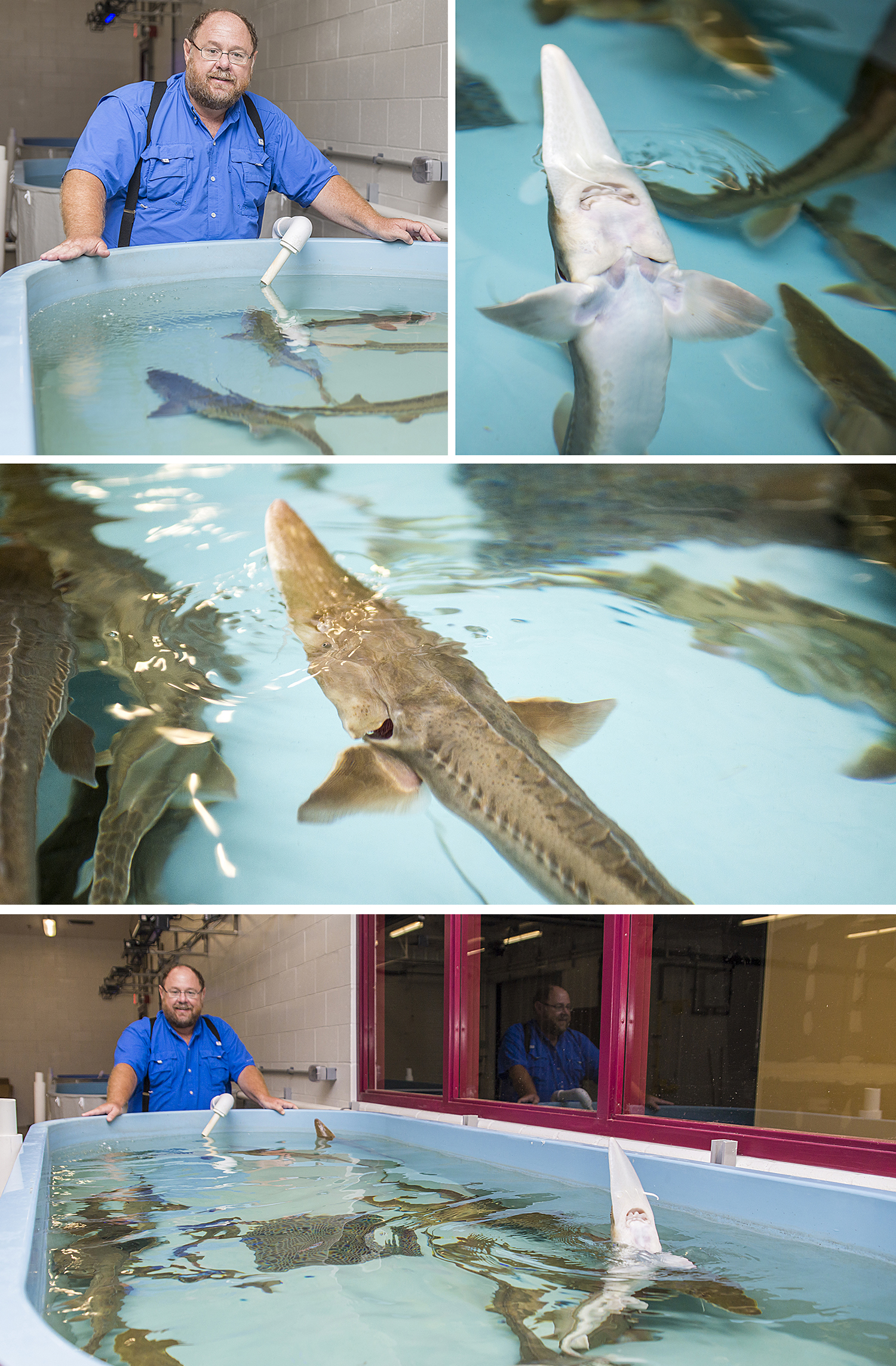 Exploration at SIU’s Center for Fisheries, Aquaculture and Aquatic Sciences