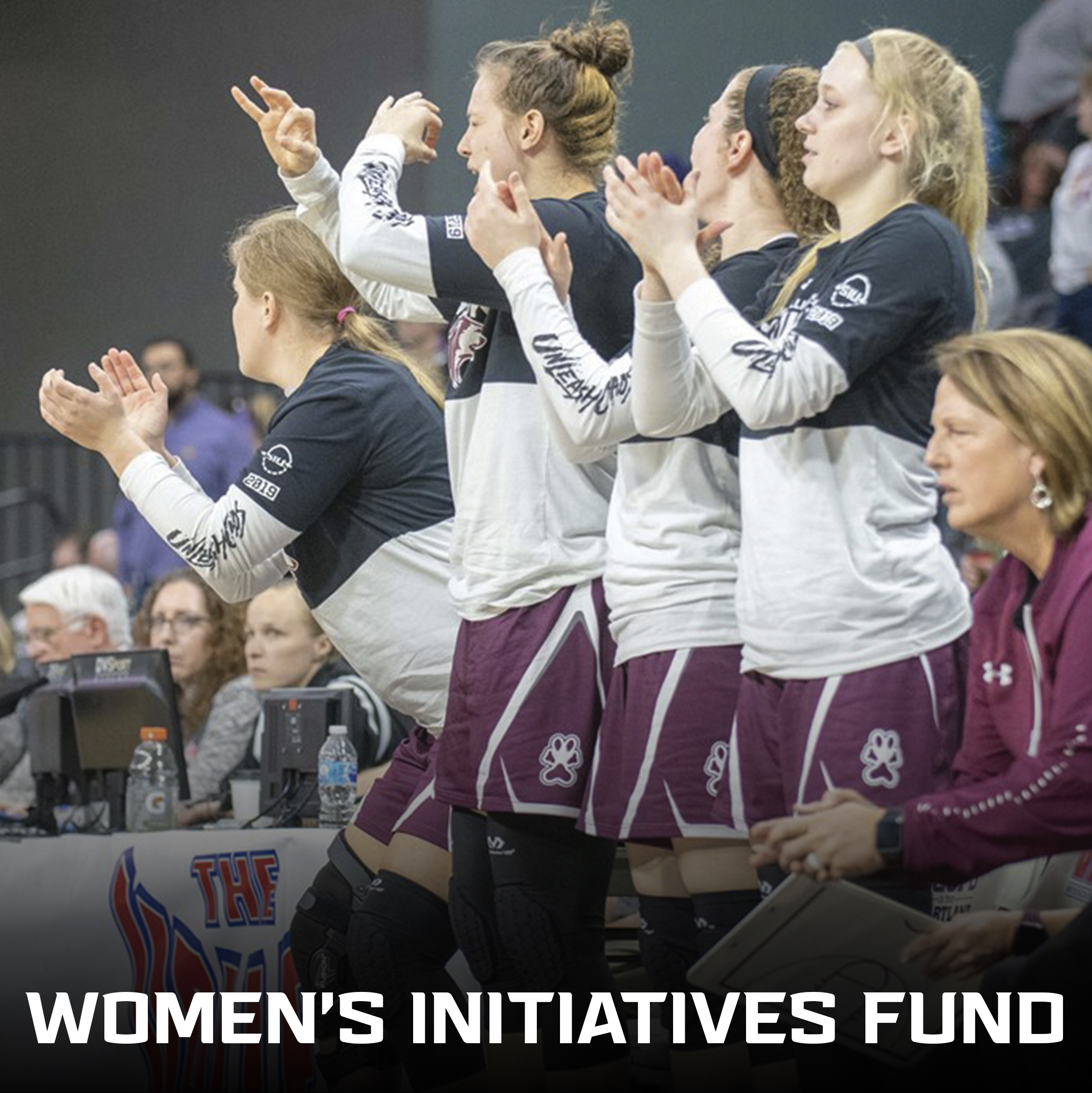 Women's Initiatives Fund